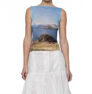 NEW ESTHE women's transcend mesh boatneck top in white